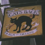 the catsback sign 