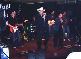Rocking armadillos on stage Rocking armadillos on stage