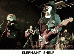 Elelphant Shelf Elelphant Shelf